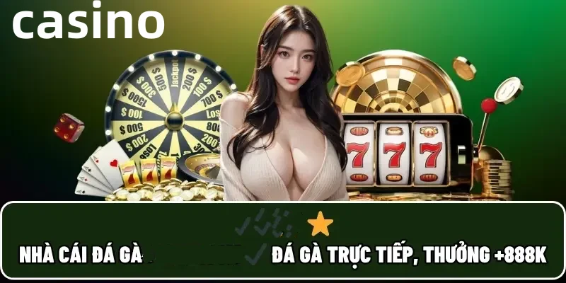 win666