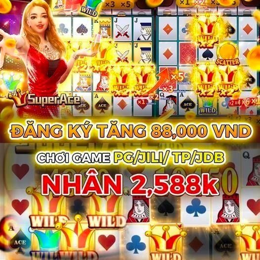 win666